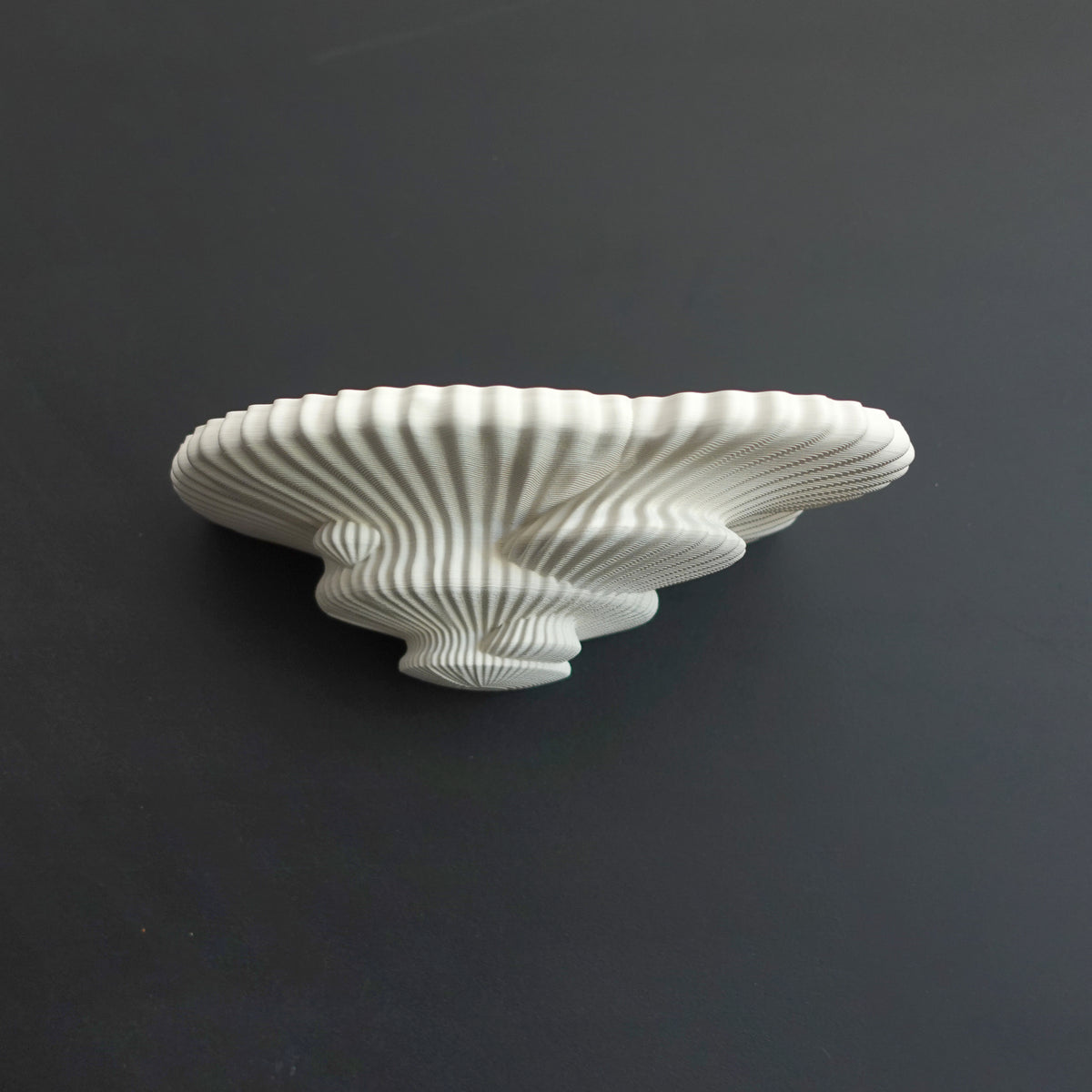 Fungus Shelf