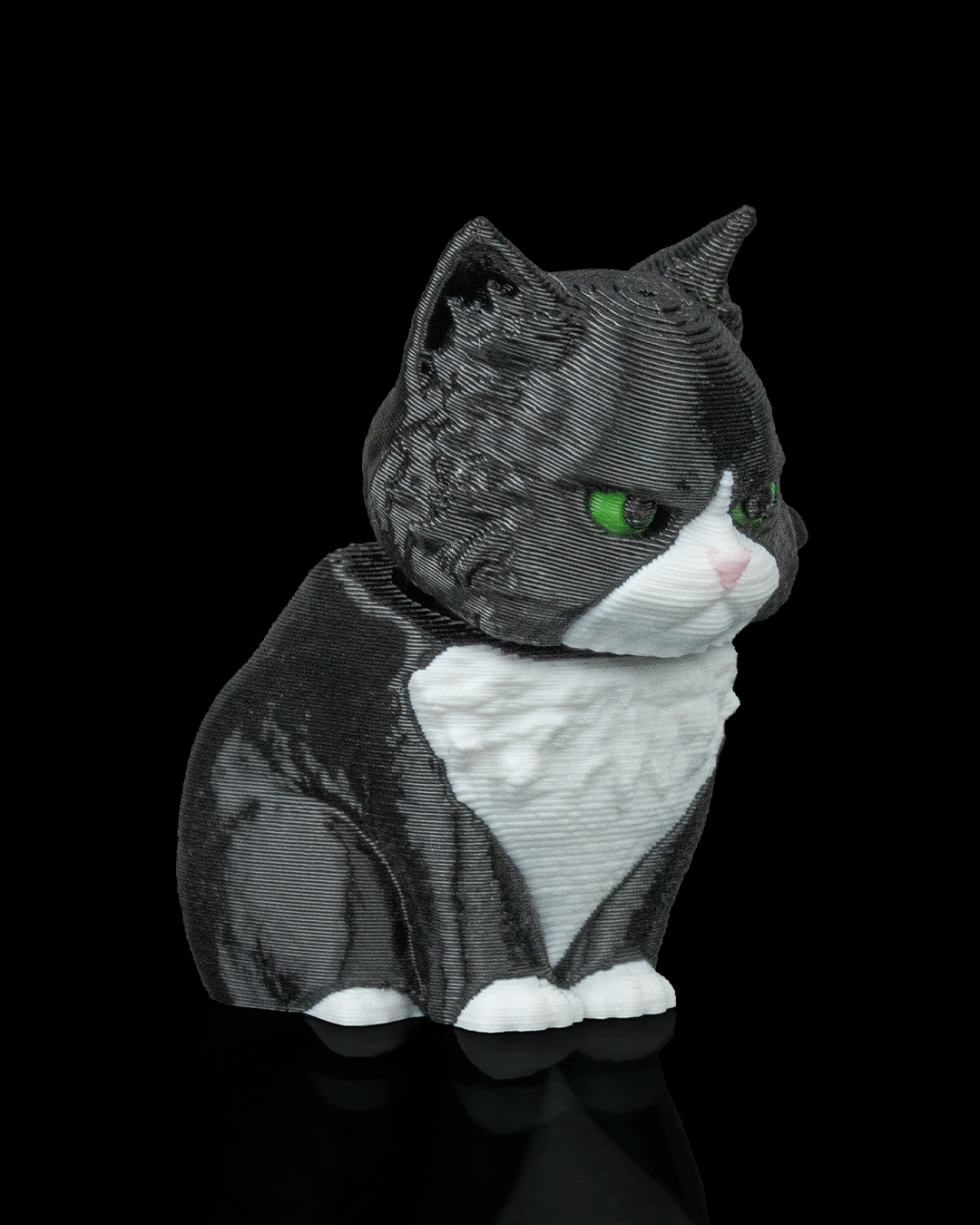 Launch Pack: Maine Coon Cat Carrier Keyring Charm