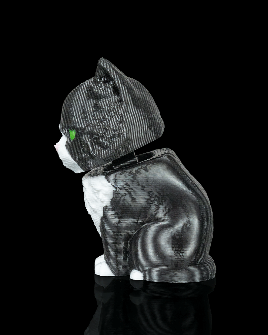 Launch Pack: Maine Coon Cat Carrier Keyring Charm