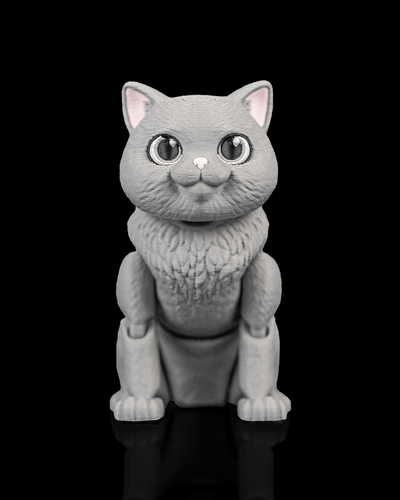 Desk Toys
