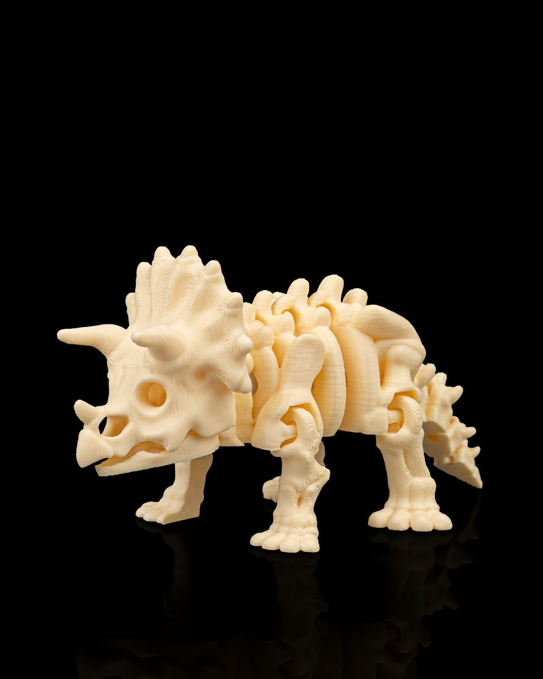 Articulated 3D-printed Triceratops dinosaur skeleton — poseable desk figurine (view 5)