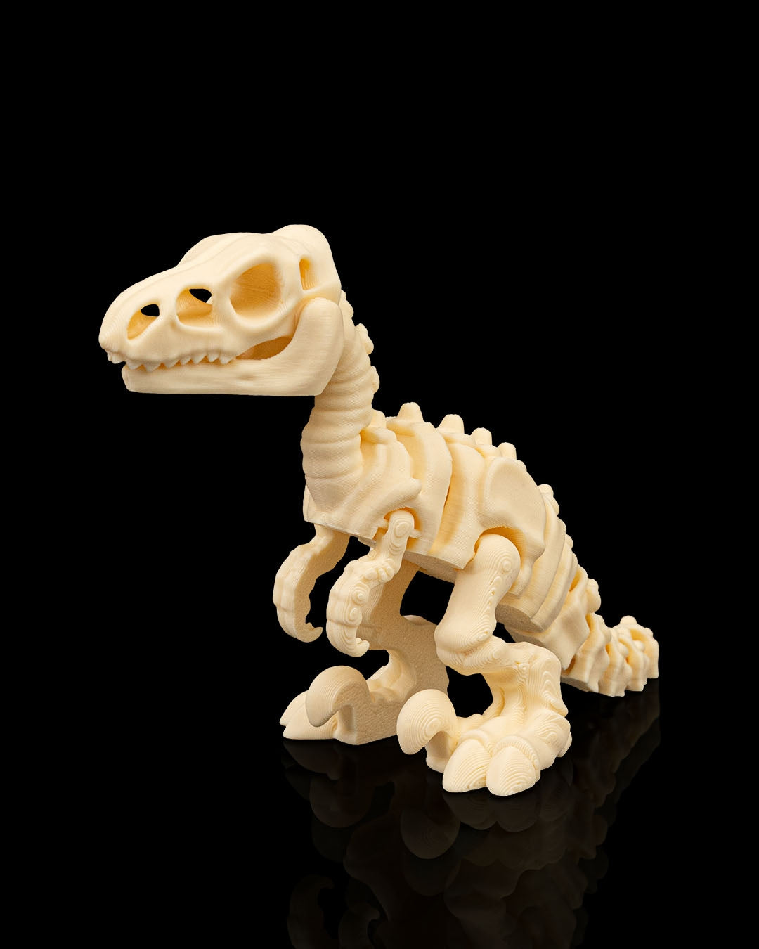 Articulated 3D-printed Velociraptor dinosaur skeleton — poseable desk figurine (view 1)