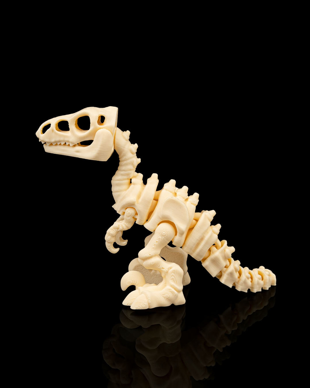 Articulated 3D-printed Velociraptor dinosaur skeleton — poseable desk figurine (view 2)
