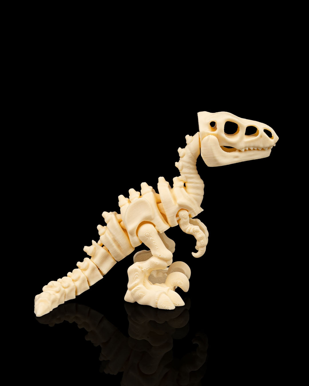 Articulated 3D-printed Velociraptor dinosaur skeleton — poseable desk figurine (view 4)