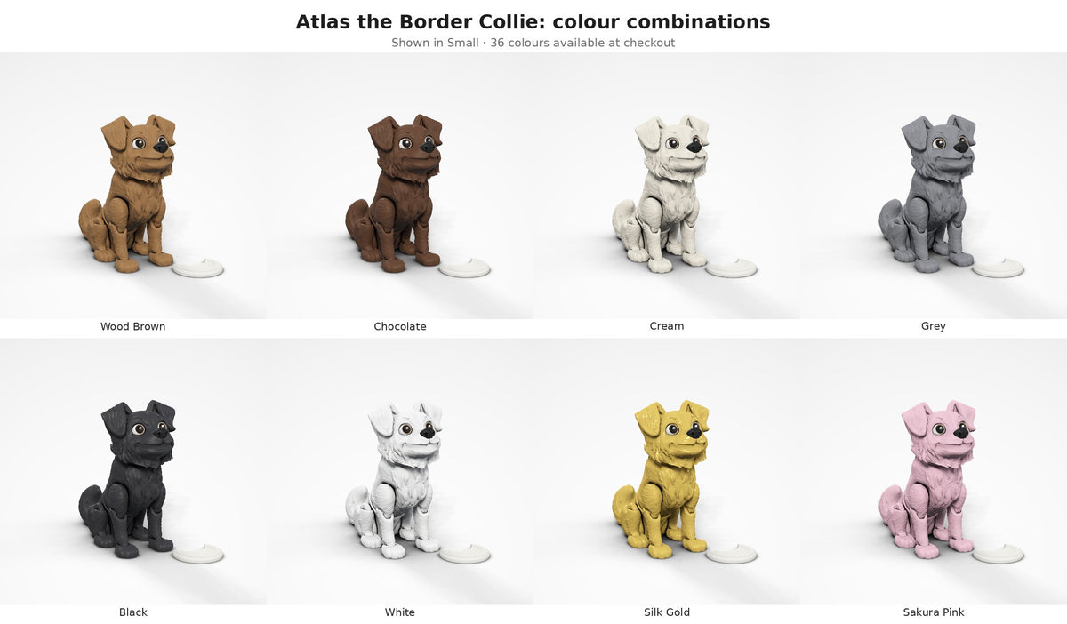 Atlas the Border Collie — colour combinations grid