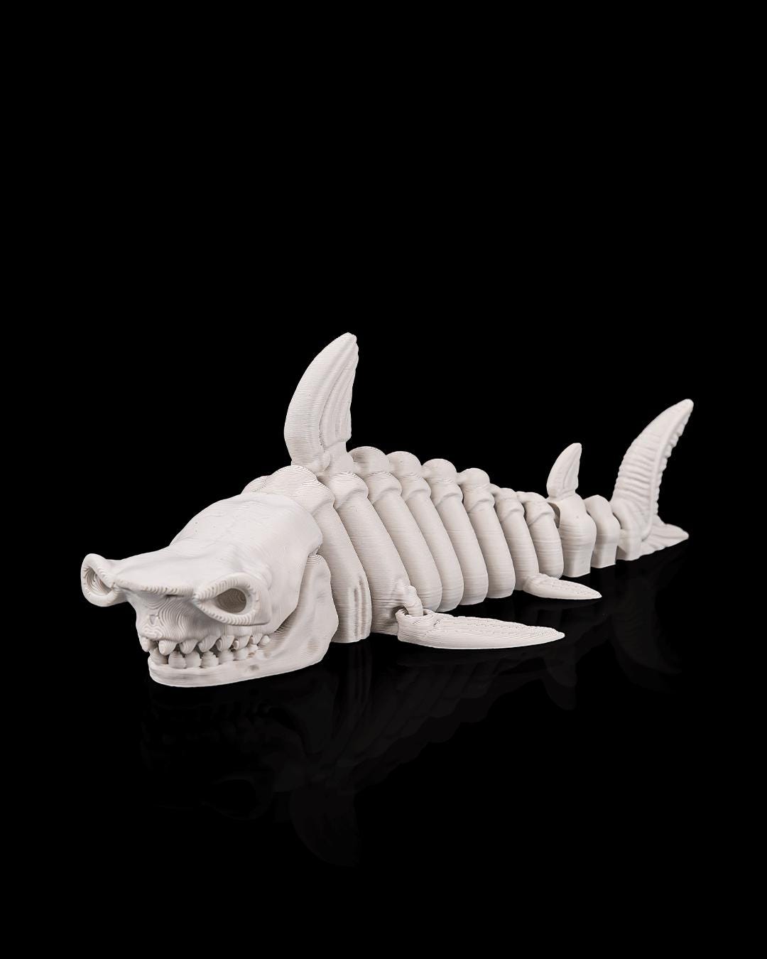 Articulated Skeleton Shark