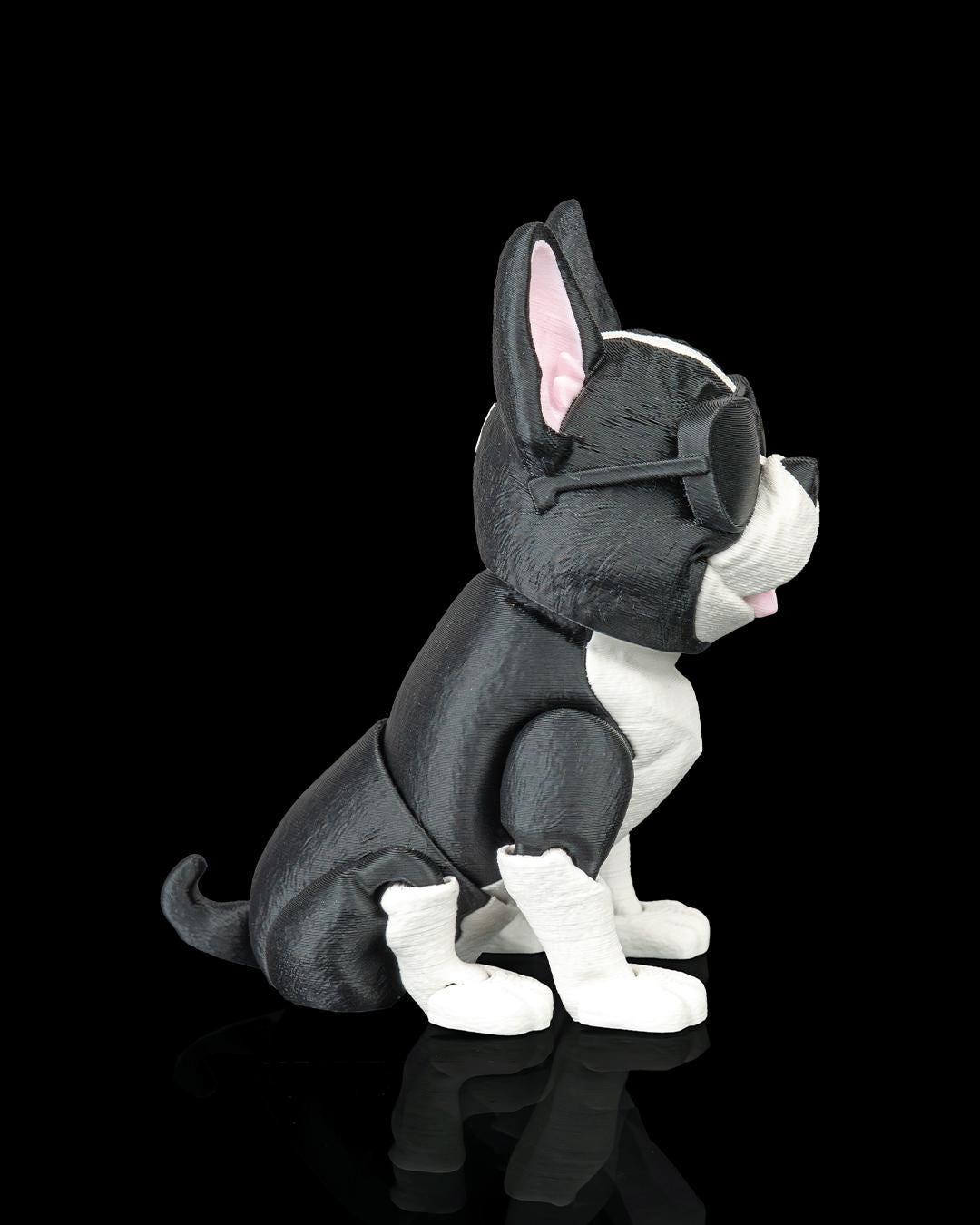 Pierre the French Bulldog