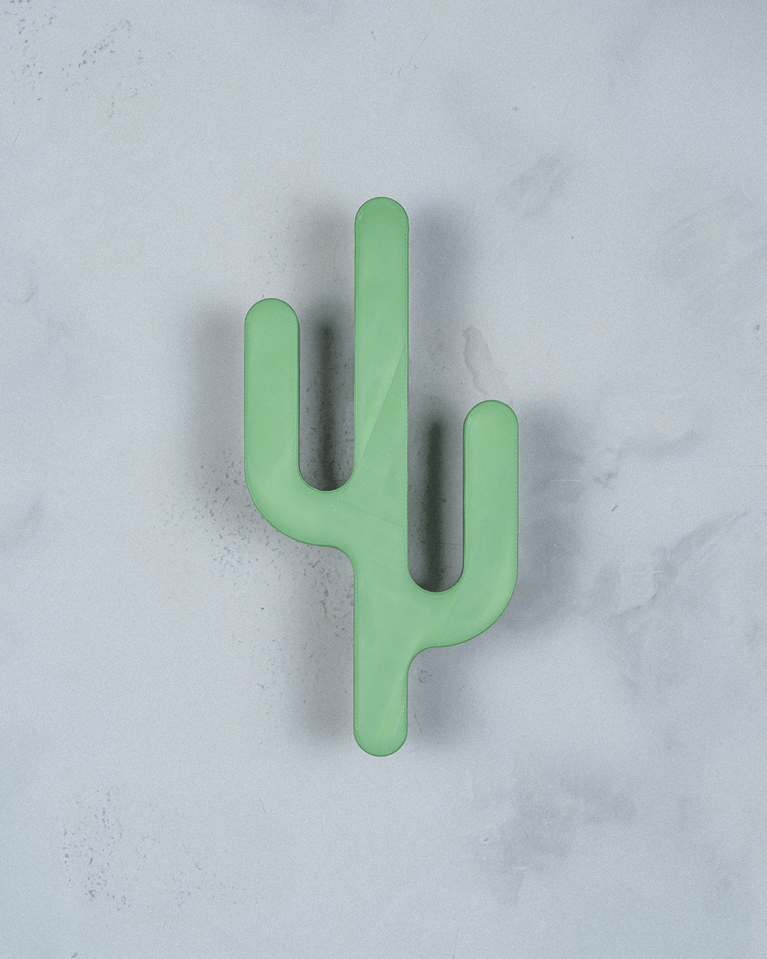 Desert Hook — a 3D-printed cactus wall hook — mounted on a wall