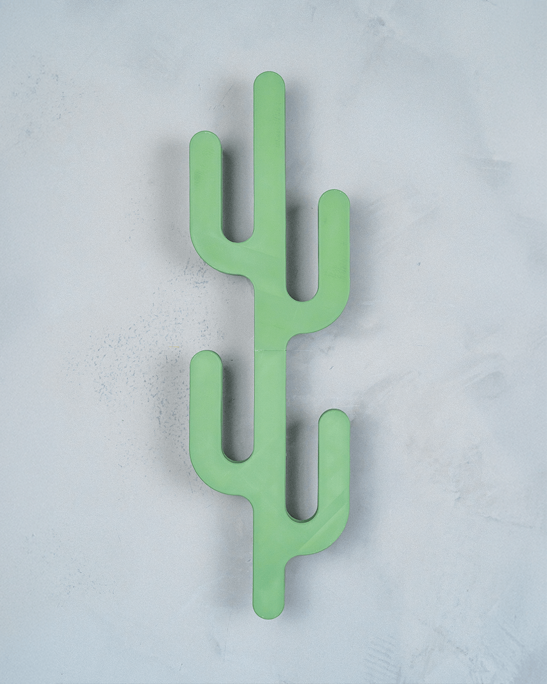 Desert Hook — a 3D-printed cactus wall hook — in use