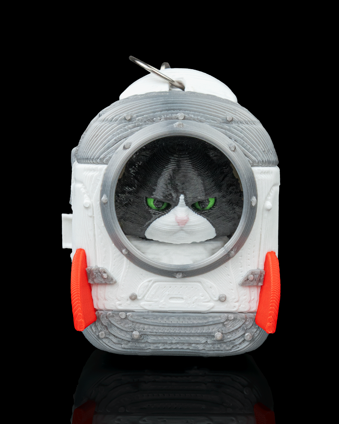 Launch Pack: Maine Coon Cat Carrier Keyring Charm