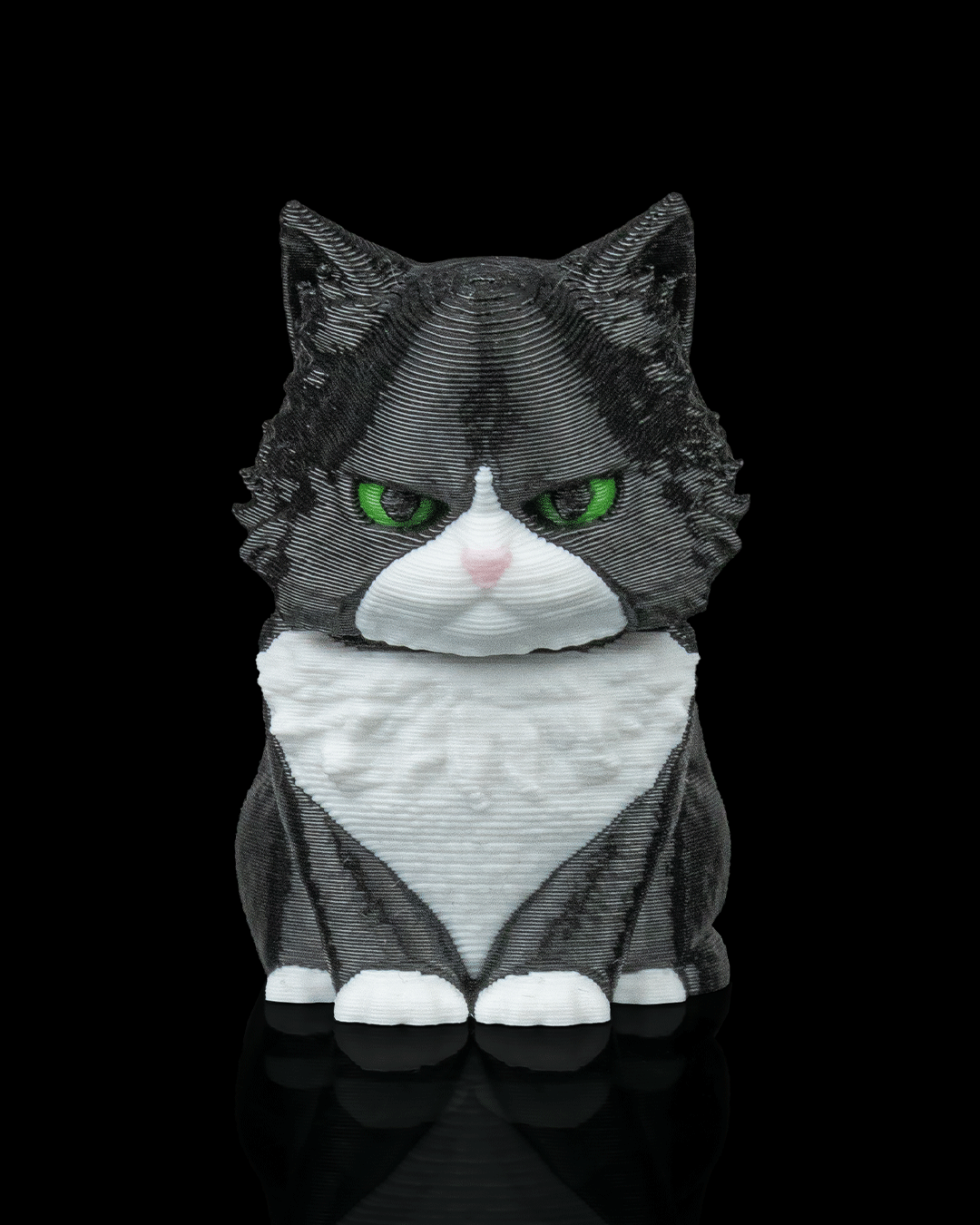 Launch Pack: Maine Coon Cat Carrier Keyring Charm
