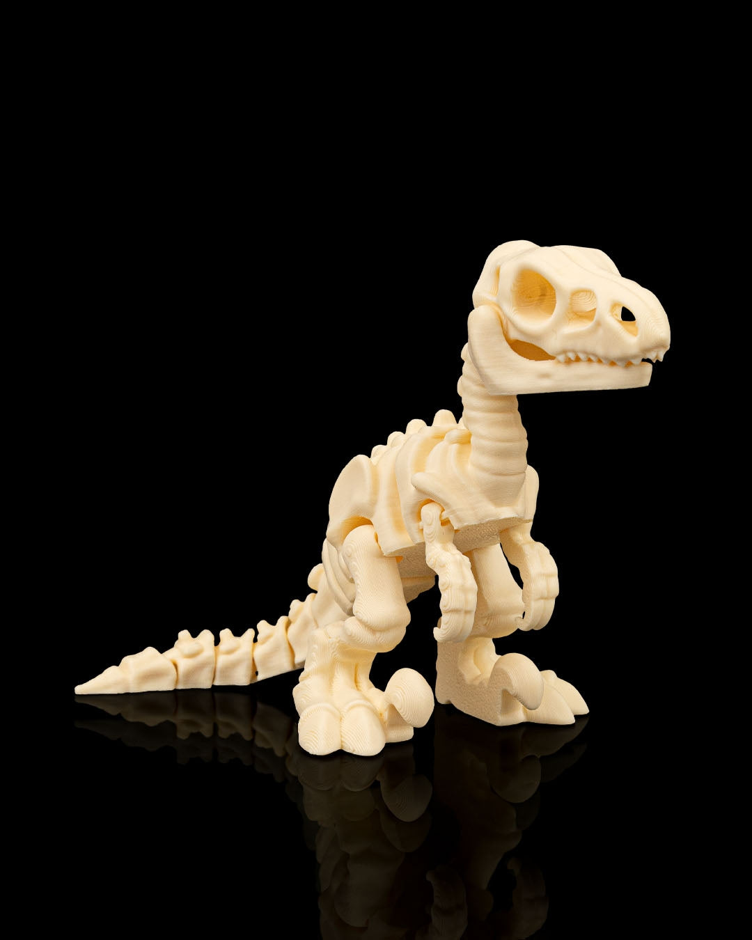 Articulated 3D-printed Velociraptor dinosaur skeleton — poseable desk figurine (view 5)