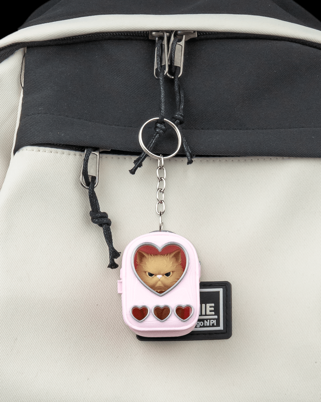 Sweetheart Pack: Persian Cat Carrier Keyring Charm