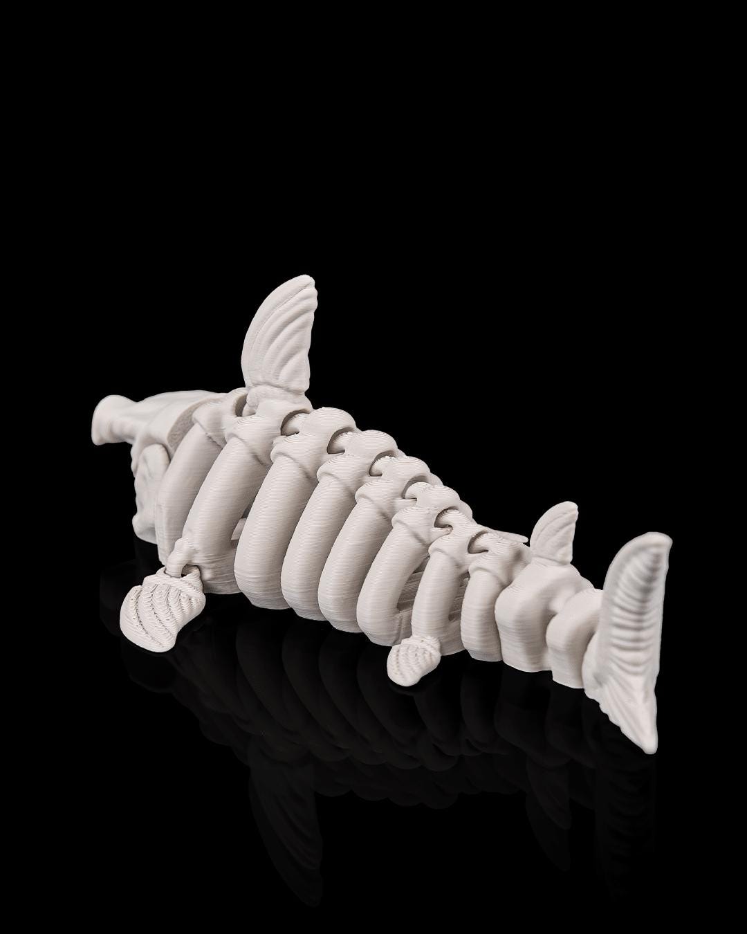 Articulated Skeleton Shark