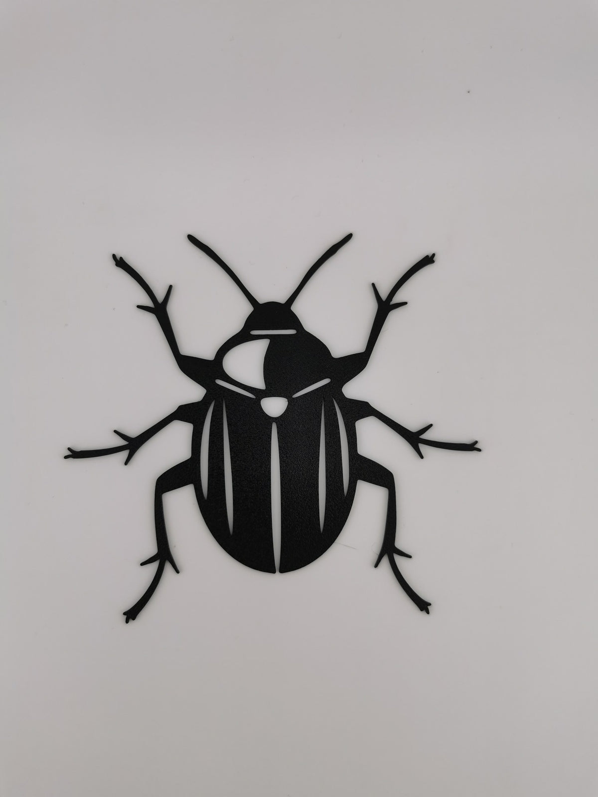 Beetle Wall Art — the printed piece