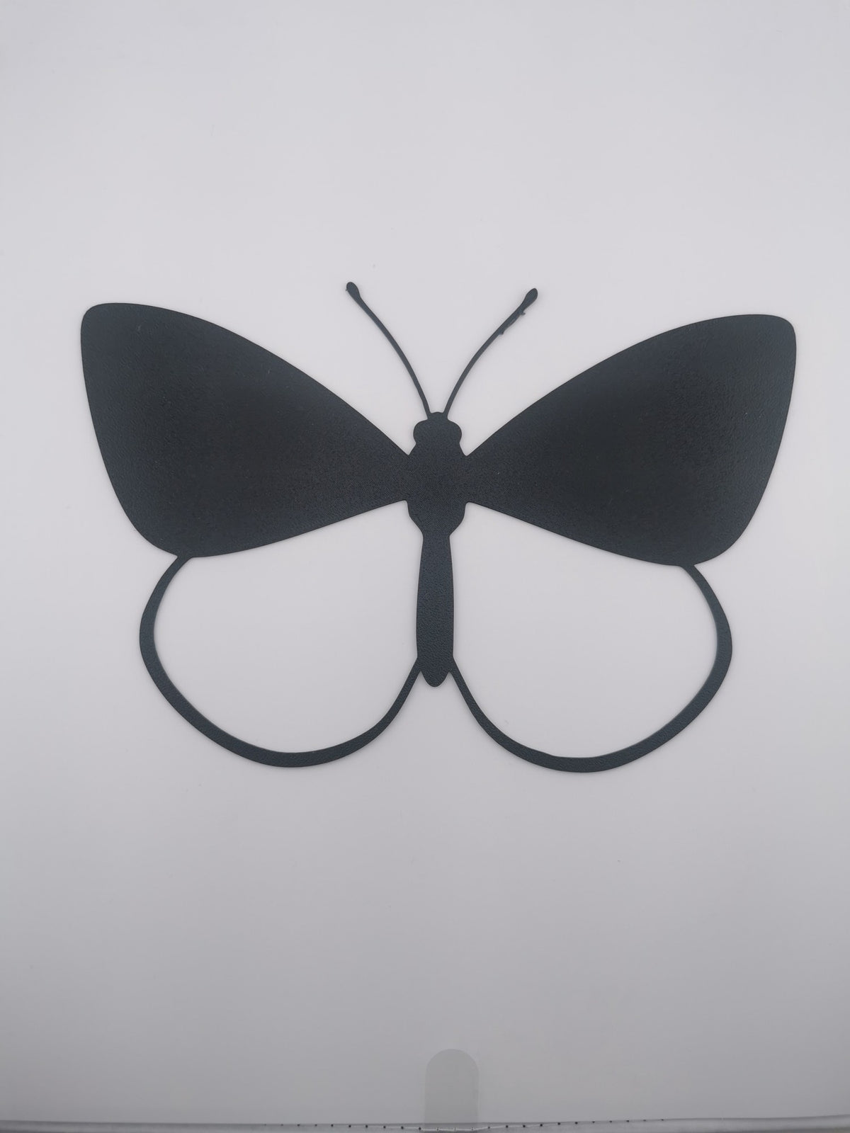 Butterfly Wall Art — the printed piece