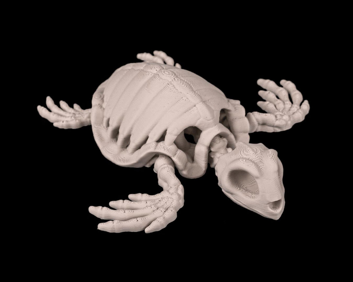 Articulated Skeleton Turtle