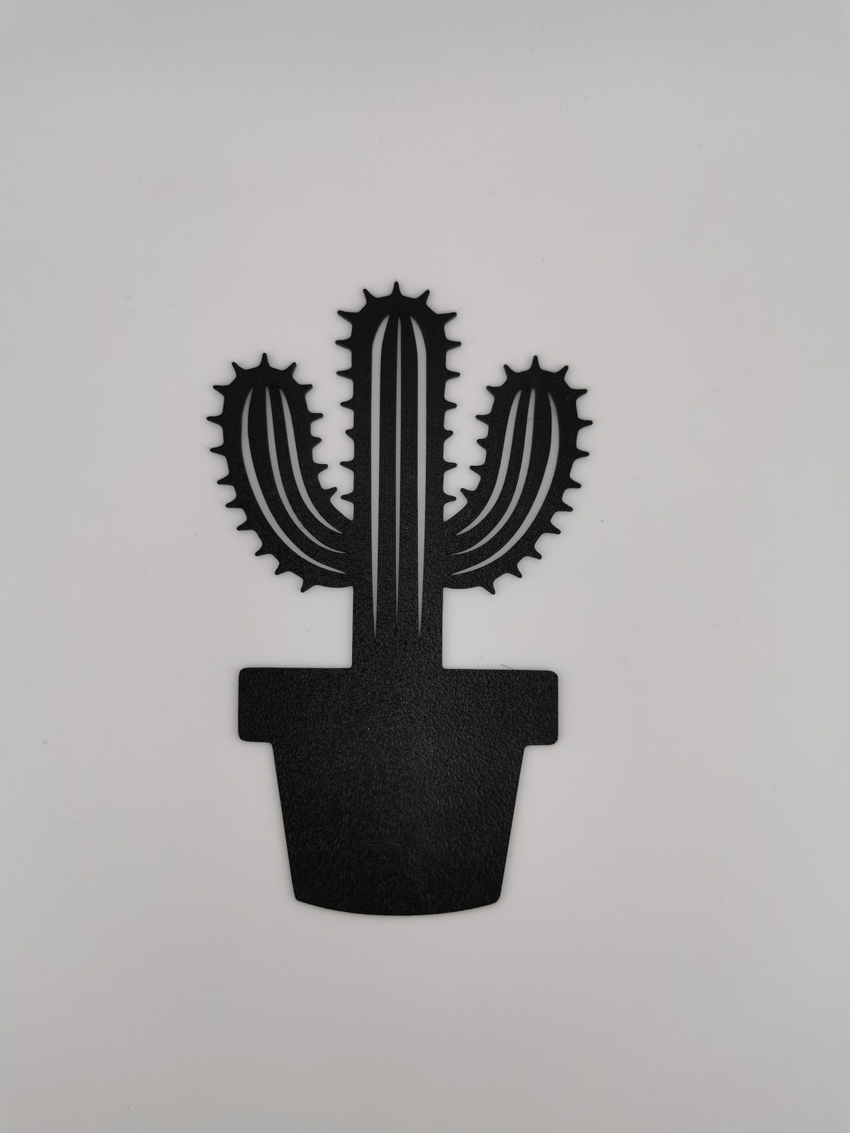 Potted Cactus Wall Art — the printed piece