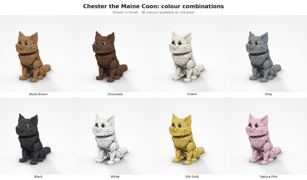 Chester the Maine Coon — colour combinations grid