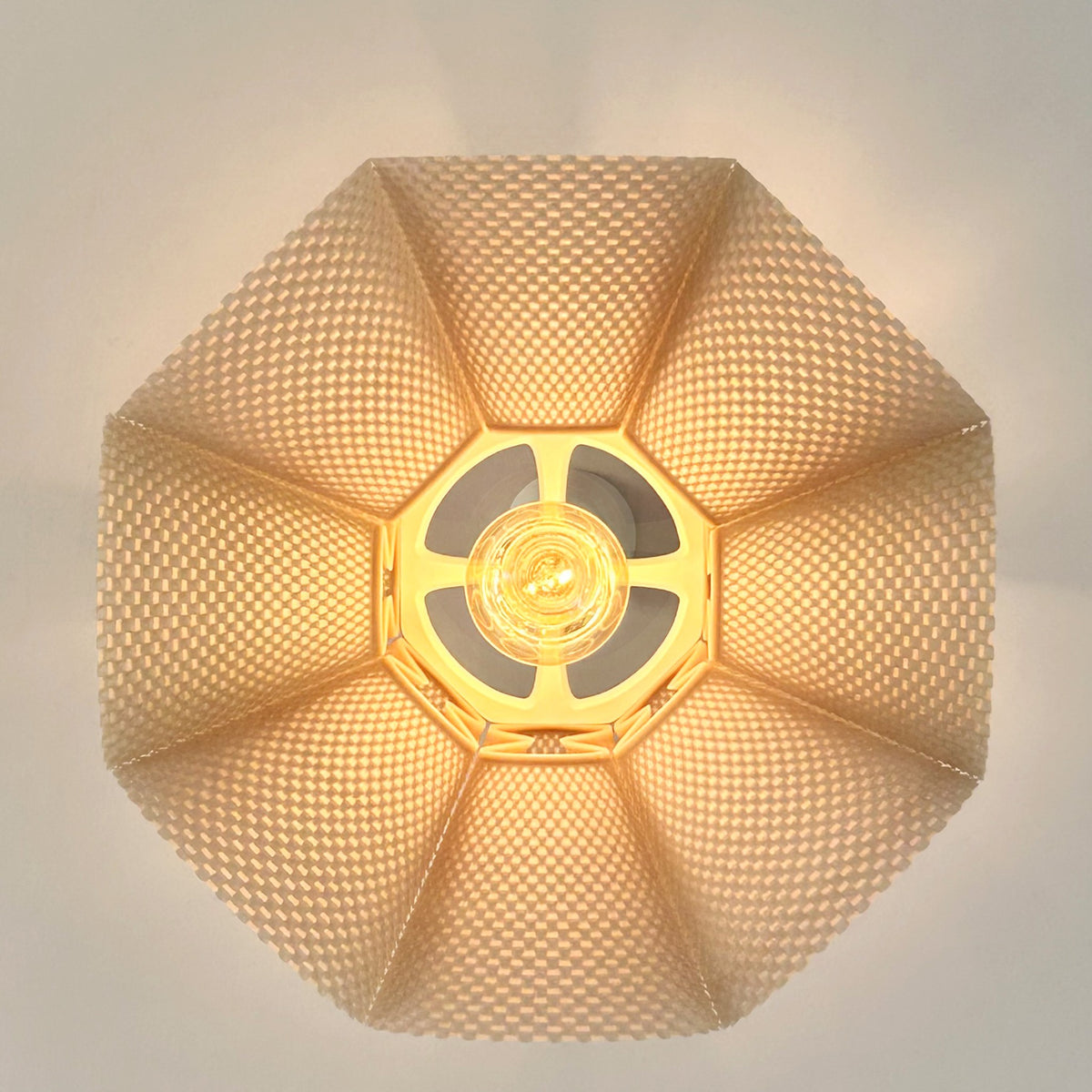 Coroa Pendant Light — view from directly below, eight petals around the bulb