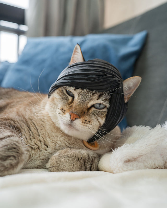 Emo Bangs Cat Costume — 3D-Printed Black Hair Wig for Cats