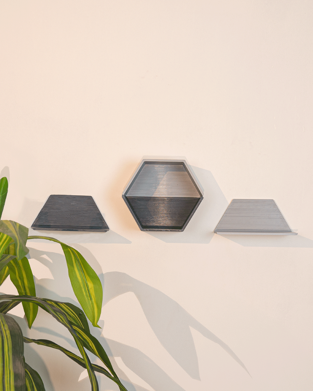 Hex Shelf mounted on wall