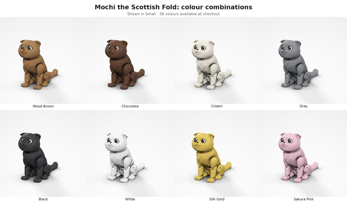 Mochi the Scottish Fold — colour combinations grid