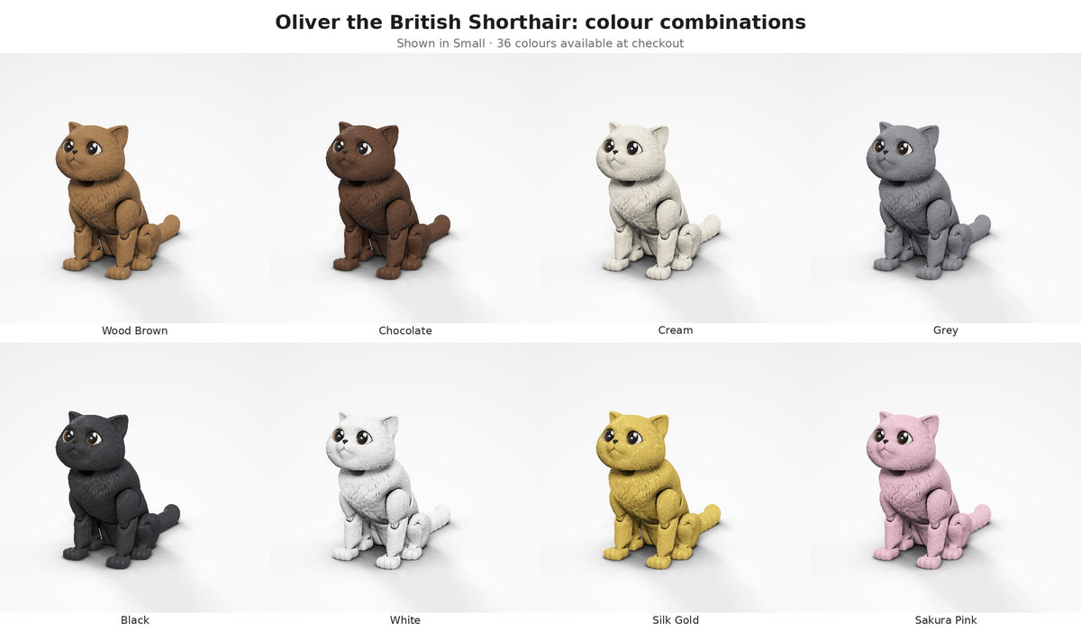 Oliver the British Shorthair — colour combinations grid